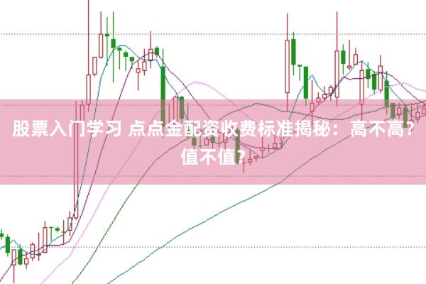 股票入门学习 点点金配资收费标准揭秘:高不高?值不值?